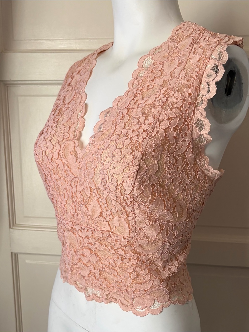 Express Blush Lace V-Neck Cropped Top